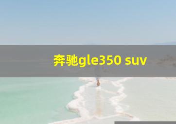 奔驰gle350 suv